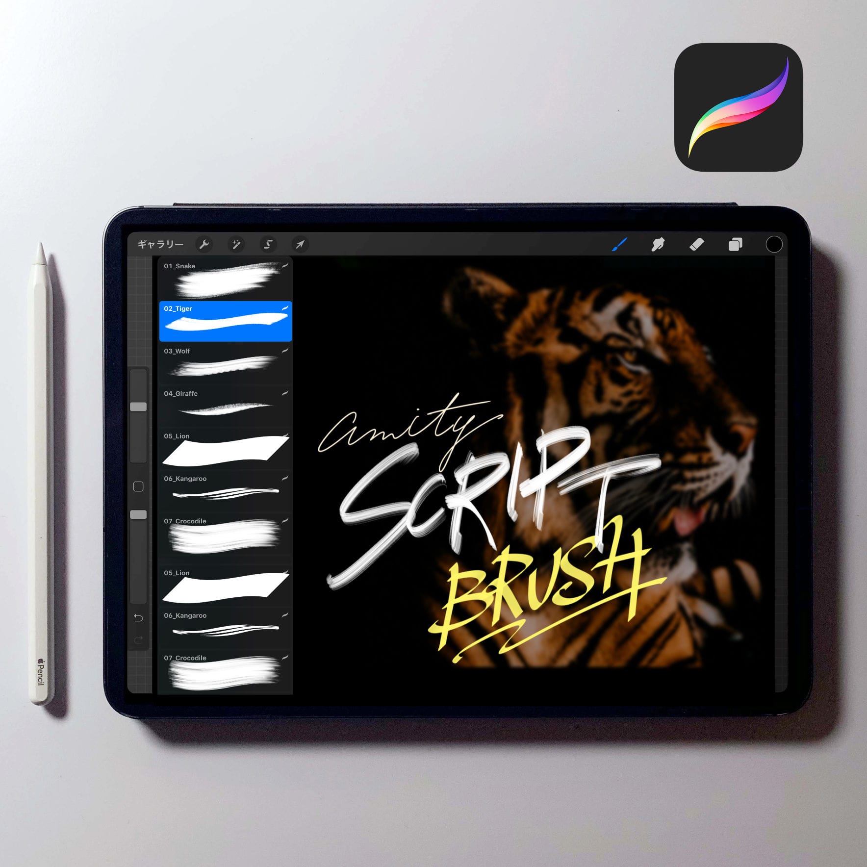 Procreate 文字スクリプトブラシ16本セット